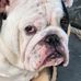 Ricky Hebert - Facebook