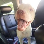 Ricky Hendricks - @stick_2883 - Instagram