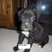 Ricky Holliday - Facebook