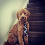 Ricky Hooper - @rickyhooper14 - Instagram