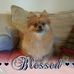 Rick Huber - Facebook