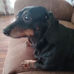 Ricky Hurley - @ricky.hurley.752 - Instagram