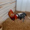 Ricky James - @ricky.james755 - TikTok