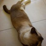 Ricky - @ricky_key_ - Instagram
