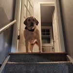 Ricky Koch - @pondpondbegoodforyou - Instagram