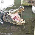 Ricky lee kramer II - @kramers_sfl_hunts - Instagram