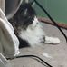 Rickey Krueger - Facebook