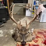 Do it for Dale #3 - @tsp_rickylayne - Instagram