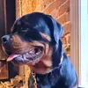 Rick Leach - @rick.leach - TikTok