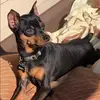 Little Ricky - @_littlericky_ - TikTok