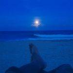 ricky little - @chiefbaby65 - Instagram