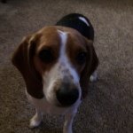 Rick Loomis - @rloomis4 - Instagram