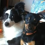 Ricky Manuel e Simba Maria - @ricky_and_simba - Instagram