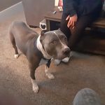 Ricky MArshall - @rickymarshall0366 - Instagram