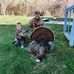 Ricky Mathews - Facebook