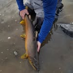 Rick Matney Outdoors - @rickmatneyoutdoors - Instagram