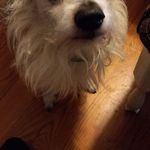 Rick Mccarter - @rickmccarter6 - Instagram