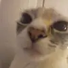 Rick Moeller - @rick.moeller2 - TikTok