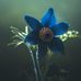 Ricky Mohr - Facebook