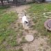 Ricky Mullis - Facebook