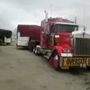 Ricky Murphy - @ricky.murphy0 - TikTok