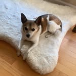Ricky Padgett - @rickynpcb - Instagram
