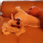 Rick Parham - @rickparham - Instagram
