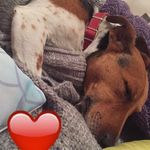 Ricky Peters - @iva30filthova - Instagram