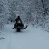 ricky petroff - @ricky.petrofff - TikTok