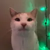 ricky😃 - @ricky.petro - TikTok