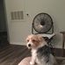 Rick Poole - Facebook