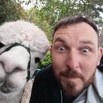 Ricky Potter - @ricky.potter.1981 - Instagram