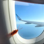 Ricky Da Roach - @ricky_roachy - Instagram