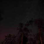 Ricky Roche - @adiamoyuri - Instagram