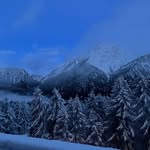 @rickyroche134 - Instagram