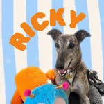 RICKY - @rickyrootherescue - Instagram