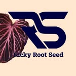 syarkha☘️🇮🇩 - @rickyrootseed - Instagram