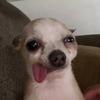 RICKY ROQUE - @rickyroque2208 - TikTok