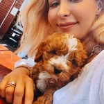 Ricky 🐶 Rudd - @rickythecavoodle - Instagram