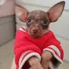 Ricky 🐕 - @rickyrusskiy - TikTok