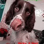 Ricky Schelle - @schellericky - Instagram
