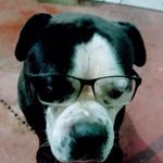 Ricky Sealey - @rickysealey - Instagram