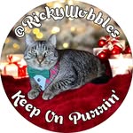 Ricky See - @rickywobbles - Instagram