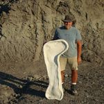 Rick Sewell - @rick.sewell.35 - Instagram