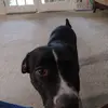 Ricky Shea - @ricky.shea - TikTok