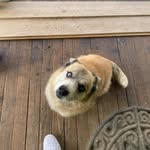 @ricky_shelley11 - Instagram