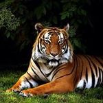 Ricky skinner - @rickyskinner1244 - Instagram
