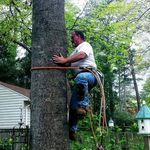 Ricky Skinner - @treeandlawnserviceslimited - Instagram