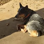 Ricky Stacy Blanchard Whittenburg - @whittenburgstacy - Instagram