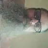 rickystacy411r - @rickystacy411r - TikTok